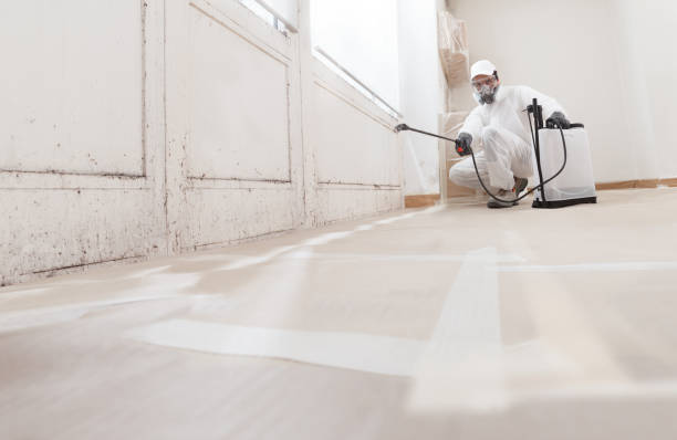 Black mold remediation team in Midland Park